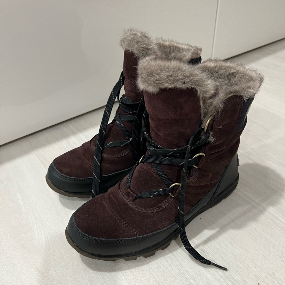 Sorel Women's Tivoli Sport Cattail Boots